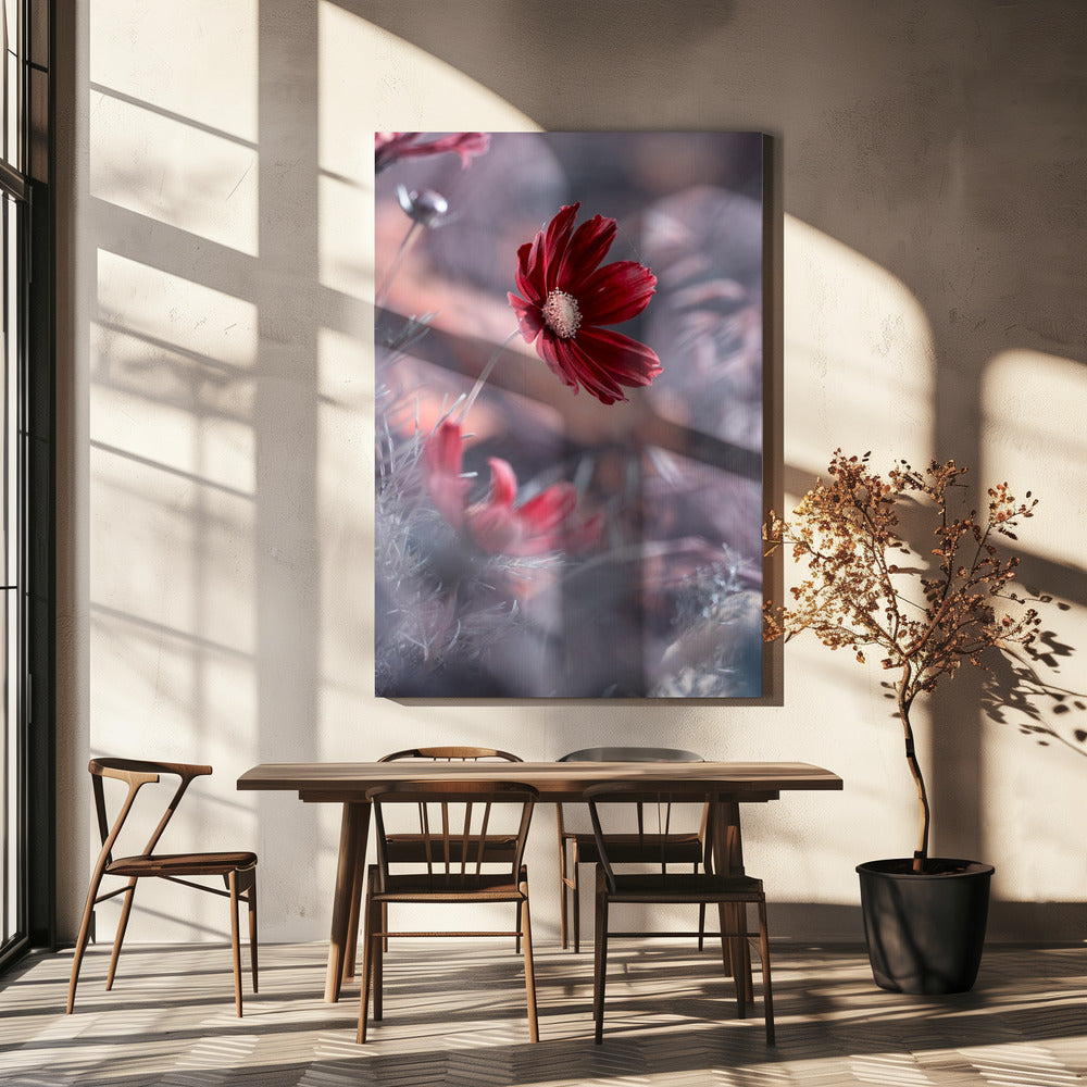 Carmen II | Leinwand