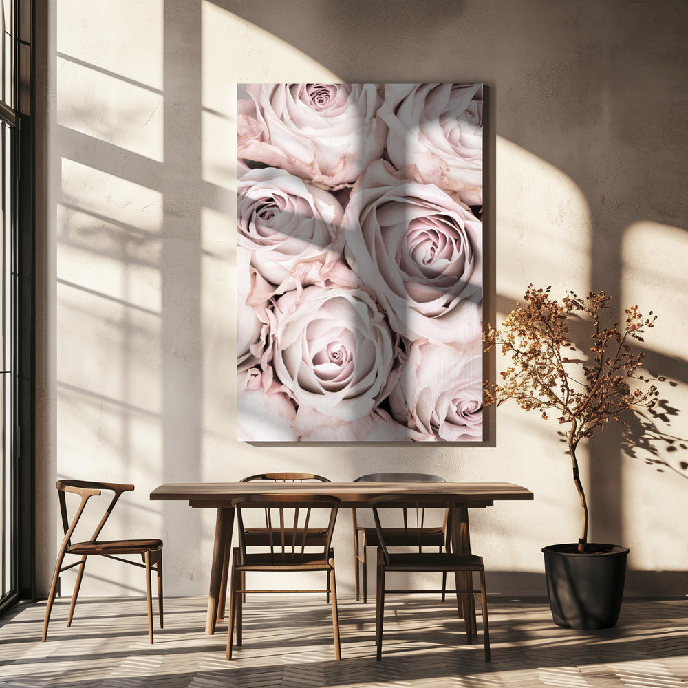 Rosa Rosen Nr. 01 | Leinwand
