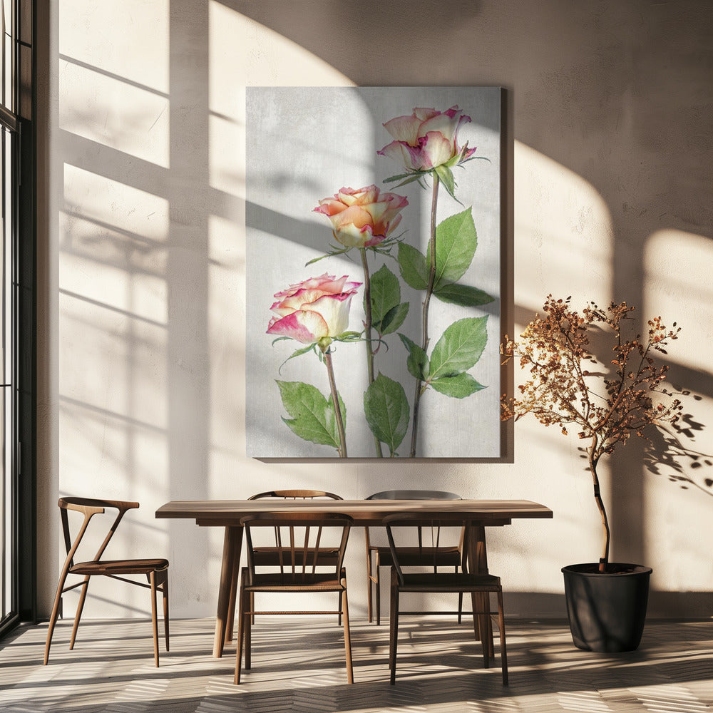 Rosen | Leinwand