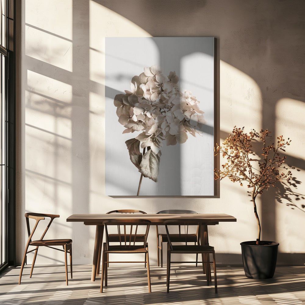 Beige getrocknete Blume | Leinwand