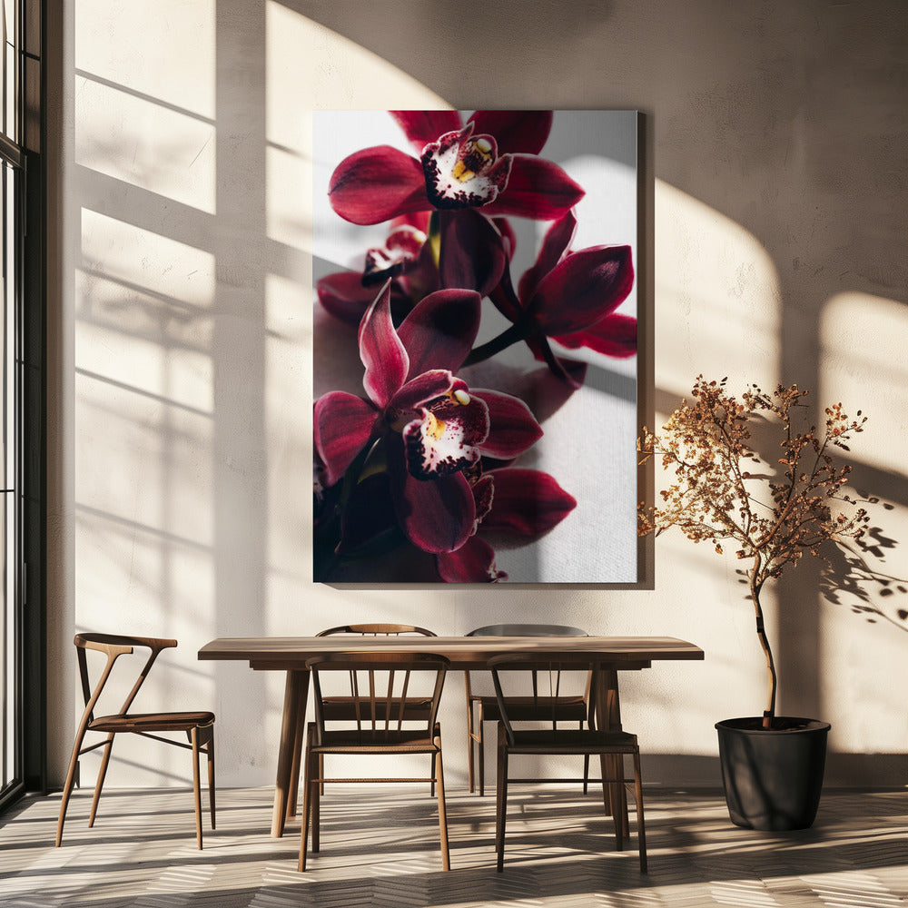 Red Orchids with Delicate Petals | Canvas