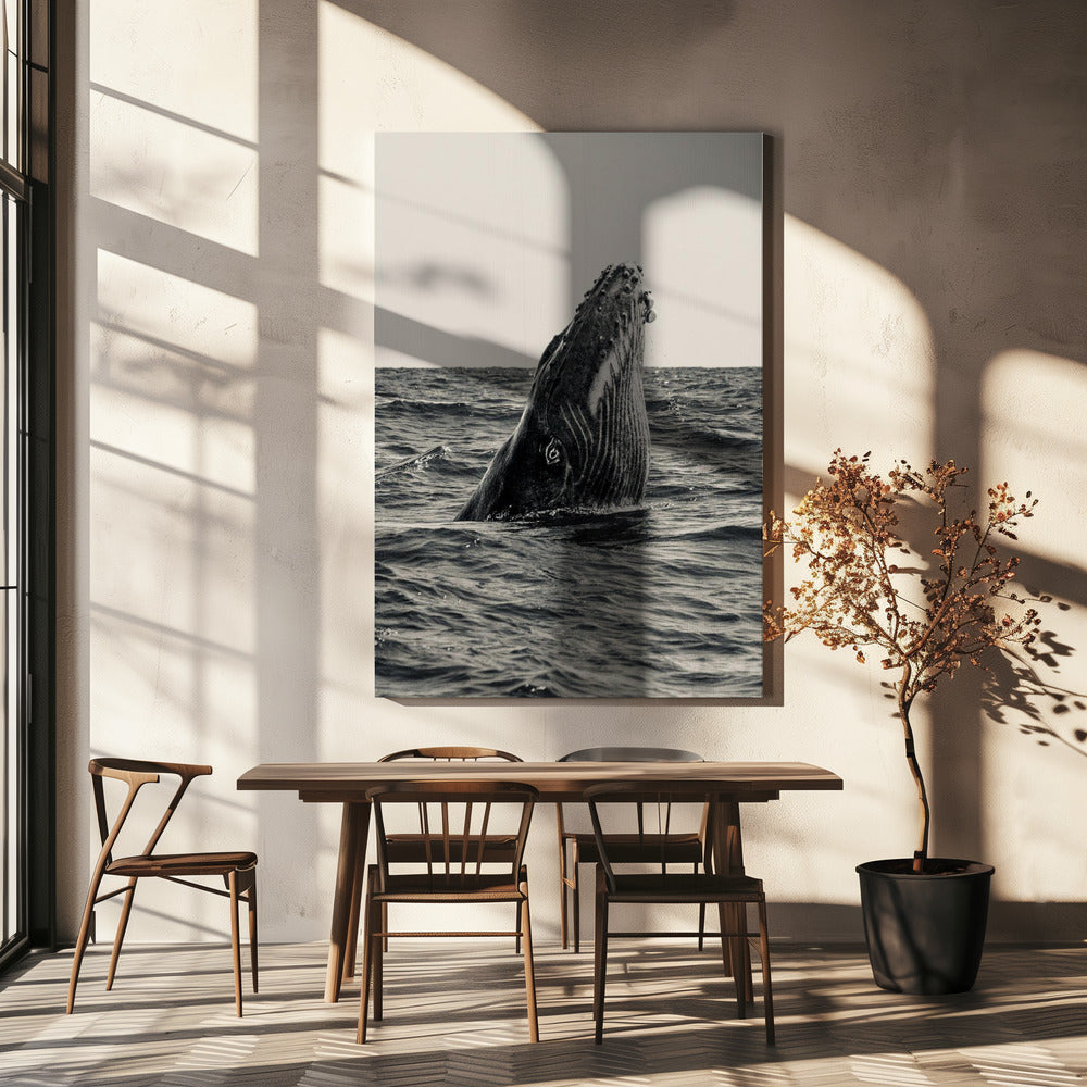 Geheimnis des Wals | Leinwand