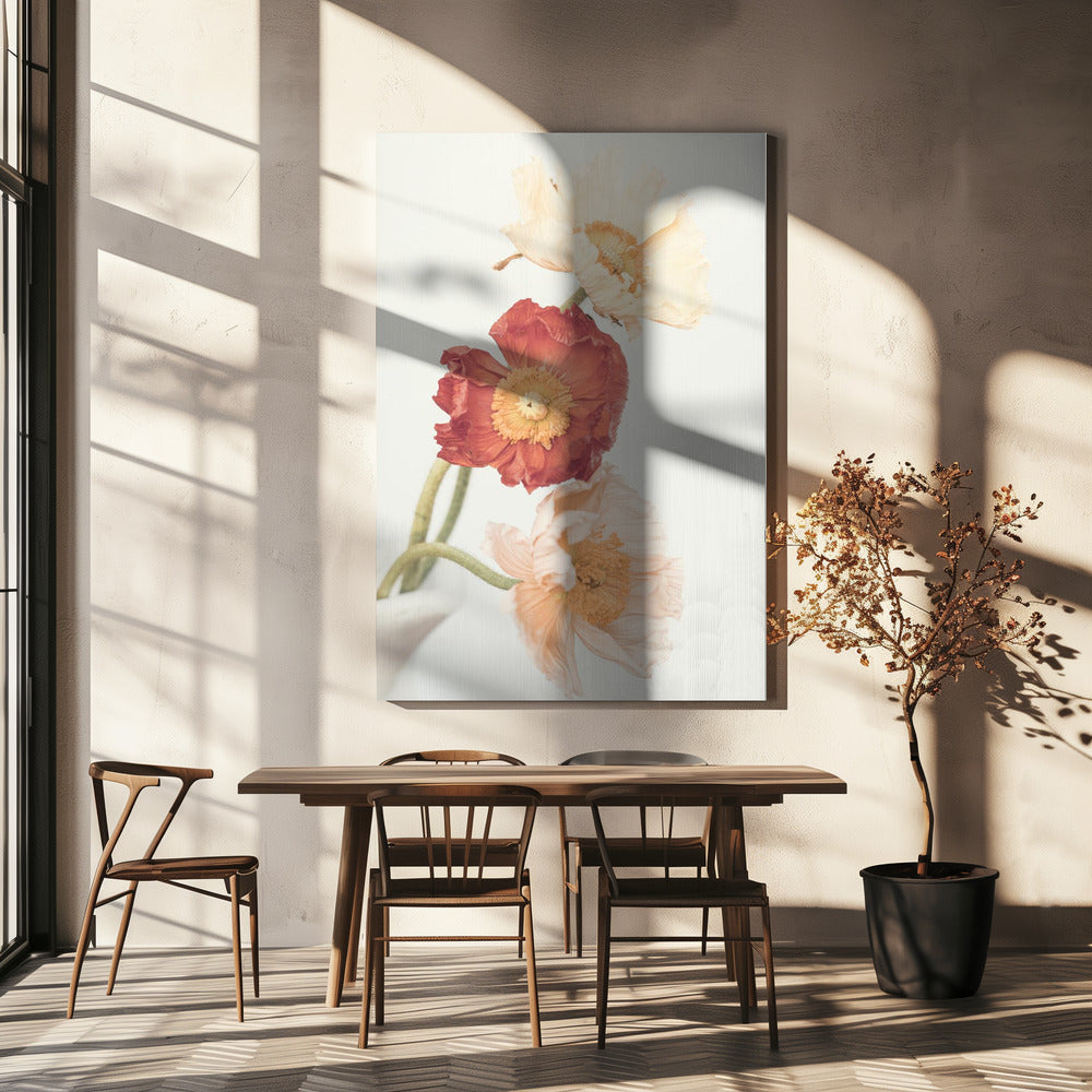 Mohnblumen | Leinwand