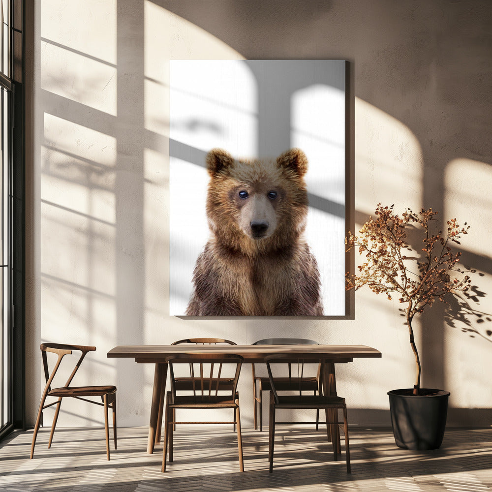Babybär | Leinwand