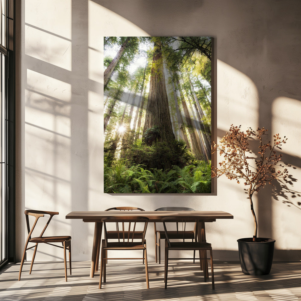 Schöner Wald | Leinwand