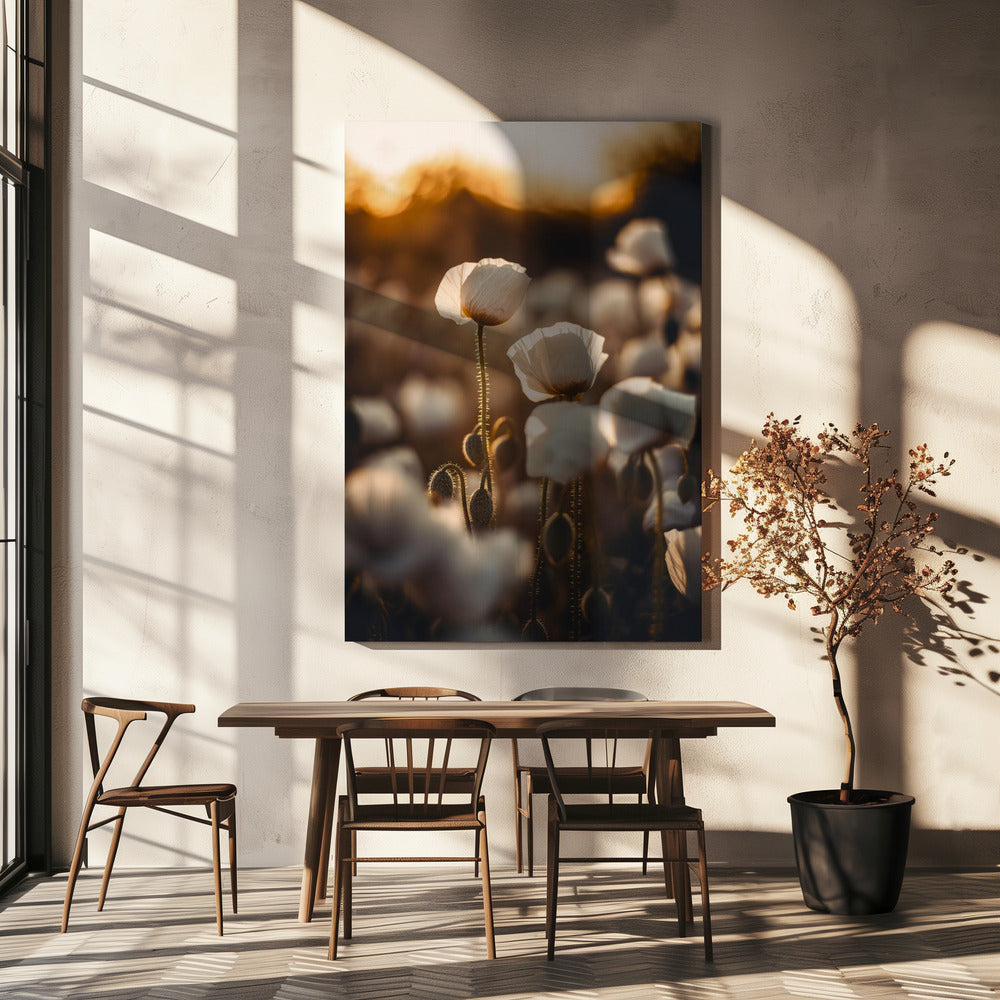 Goldene blühende Morgendämmerung | Leinwand