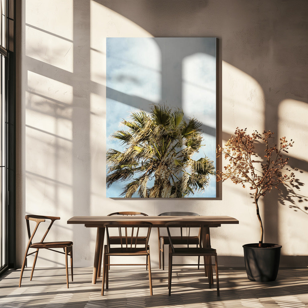 Sonnenbeschienene Wedel | Leinwand