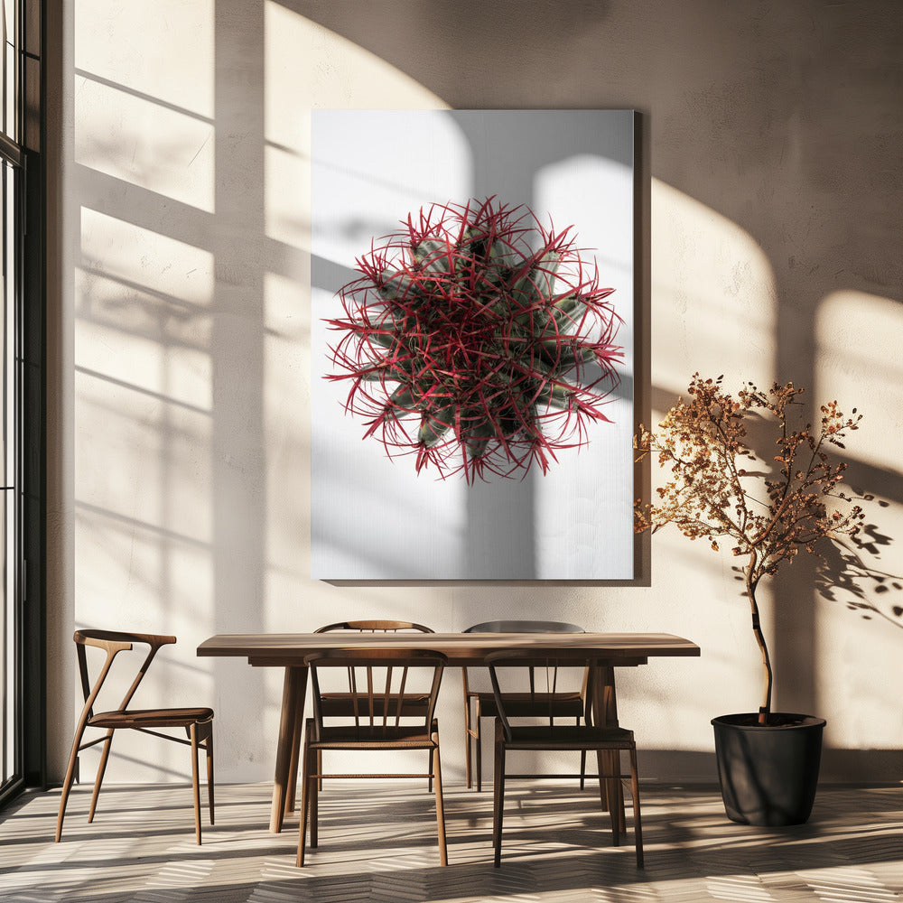 Crimson Cactus Crown | Canvas