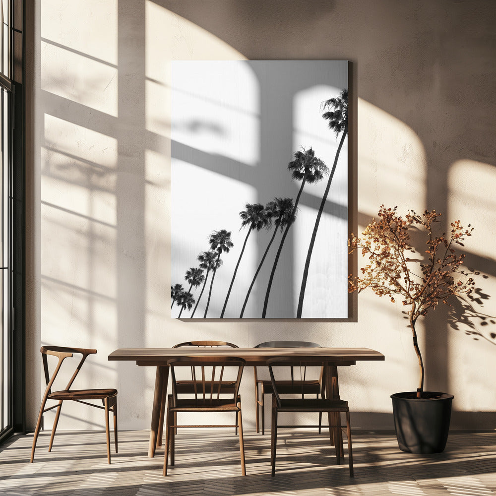 Tall Palm Parade | Canvas