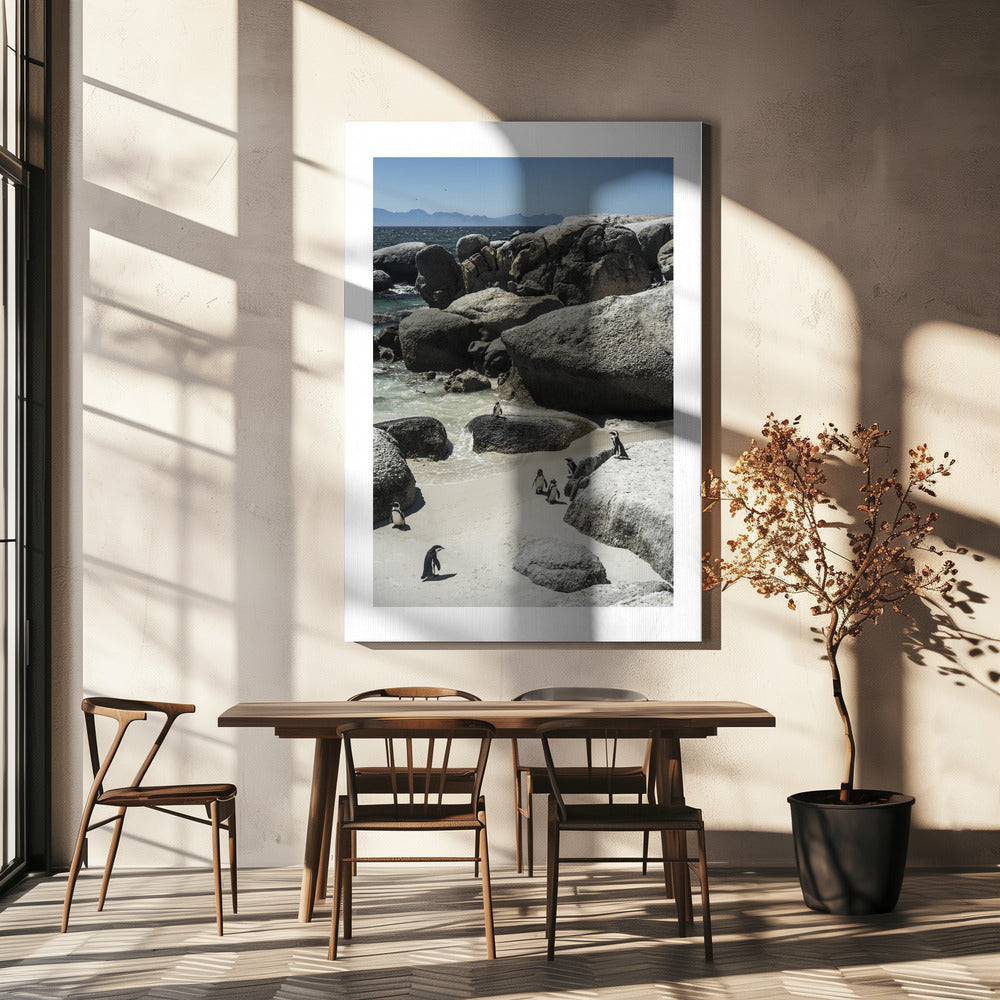 Küstenspaziergang der Pinguine | Leinwand