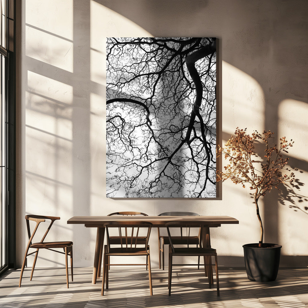 Branches&#039; Dance | Canvas