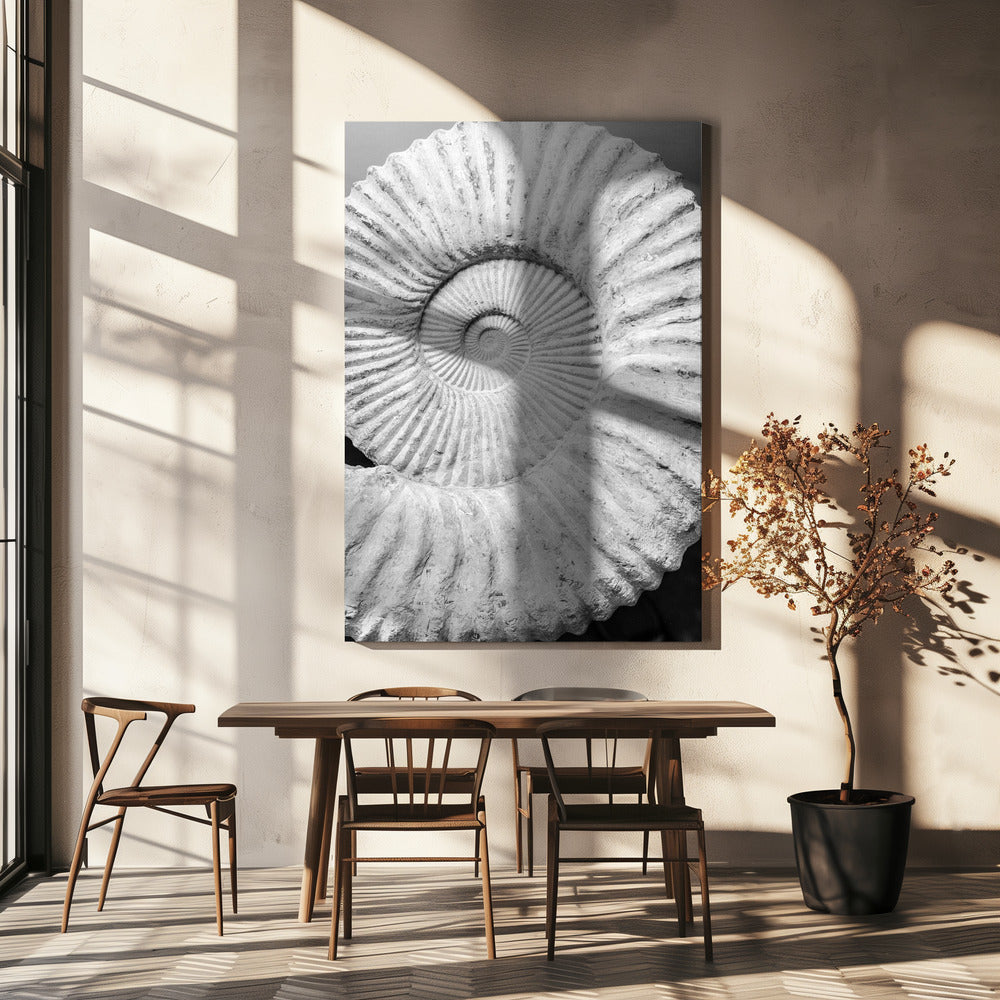 Uralte Spiralträume | Leinwand