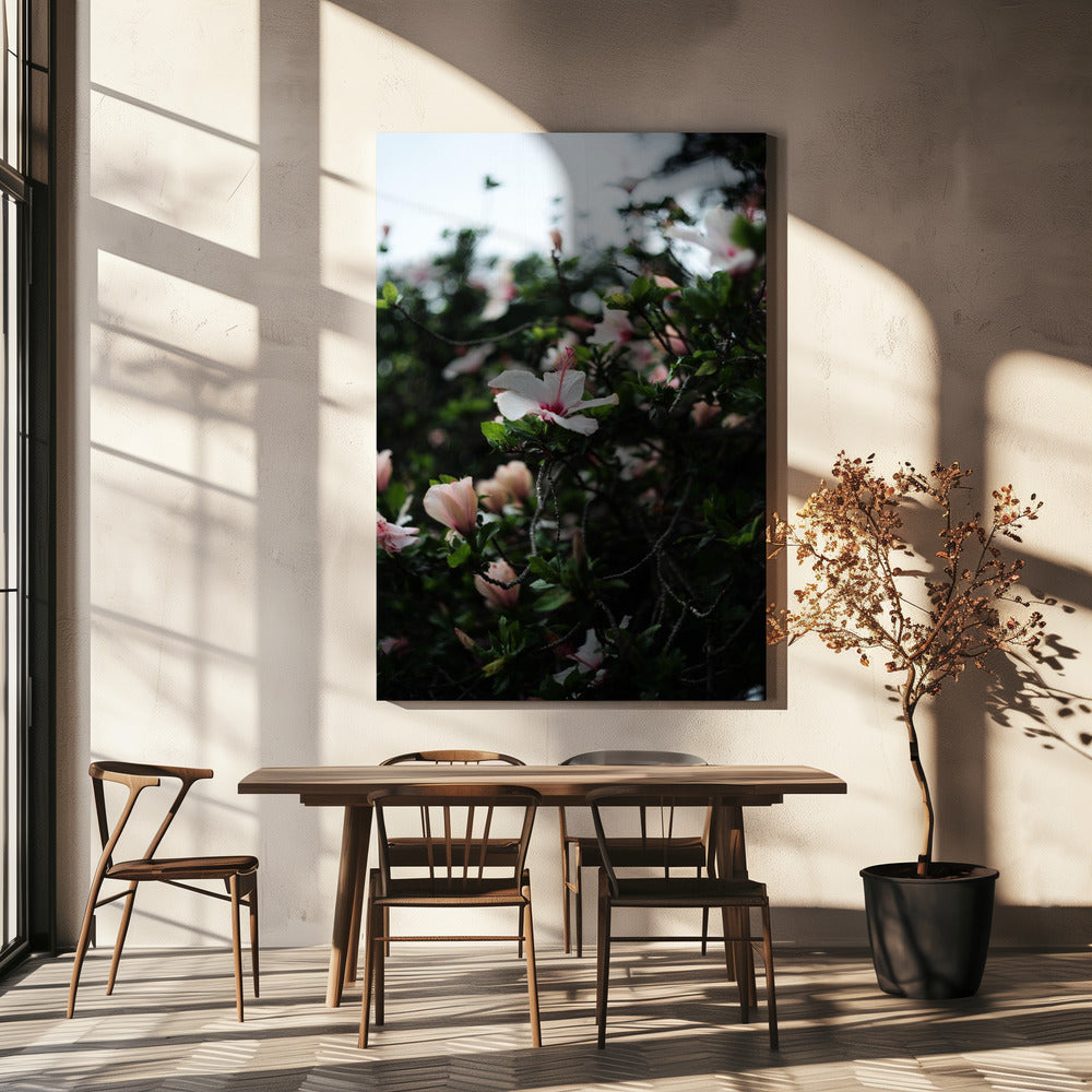 Blüten in voller Blüte | Leinwand