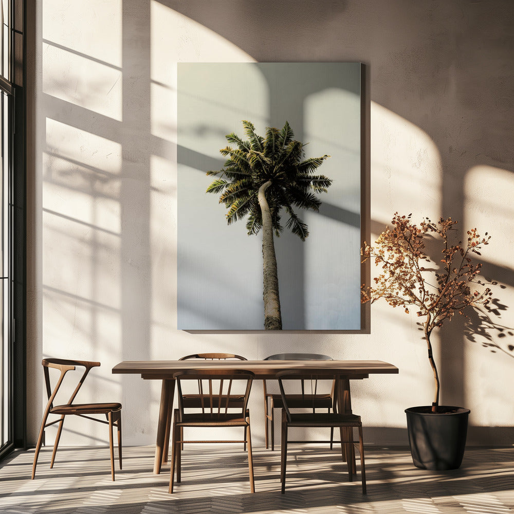 Towering Palm Bliss | Canvas