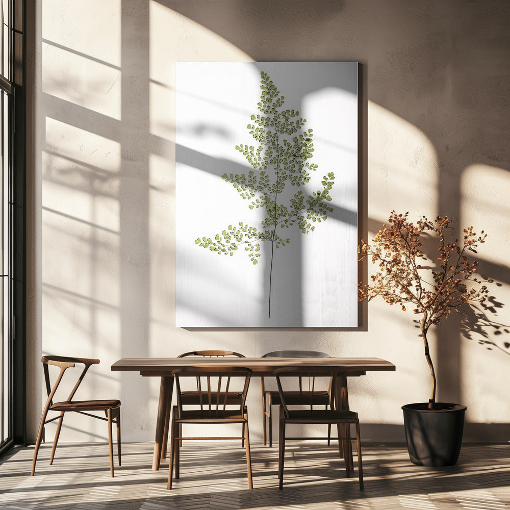 Fern Elegance | Canvas
