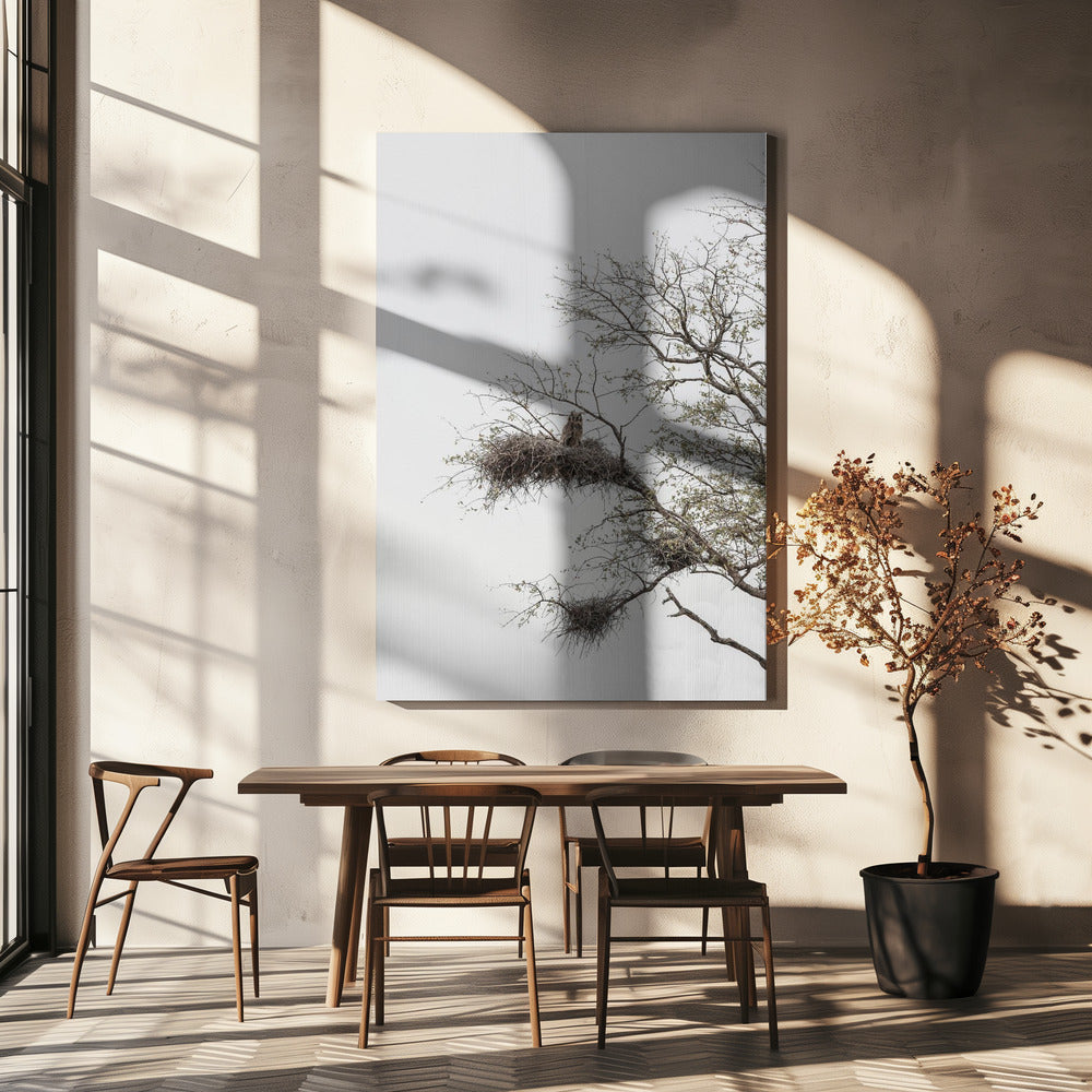 Owl&#039;s Perch | Canvas
