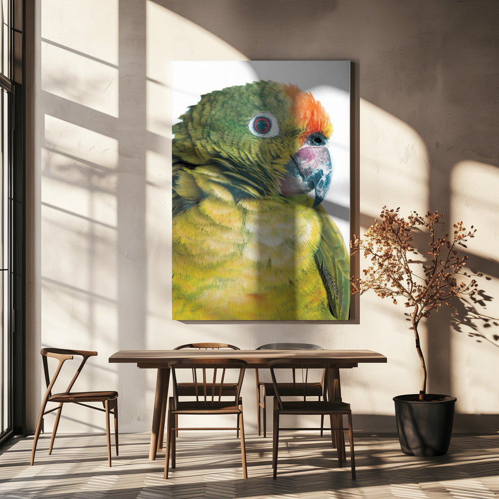 Lebendiger Papageienblick | Leinwand