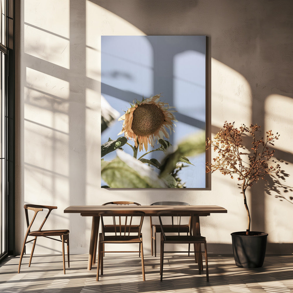 Goldener Blütenhimmel | Leinwand