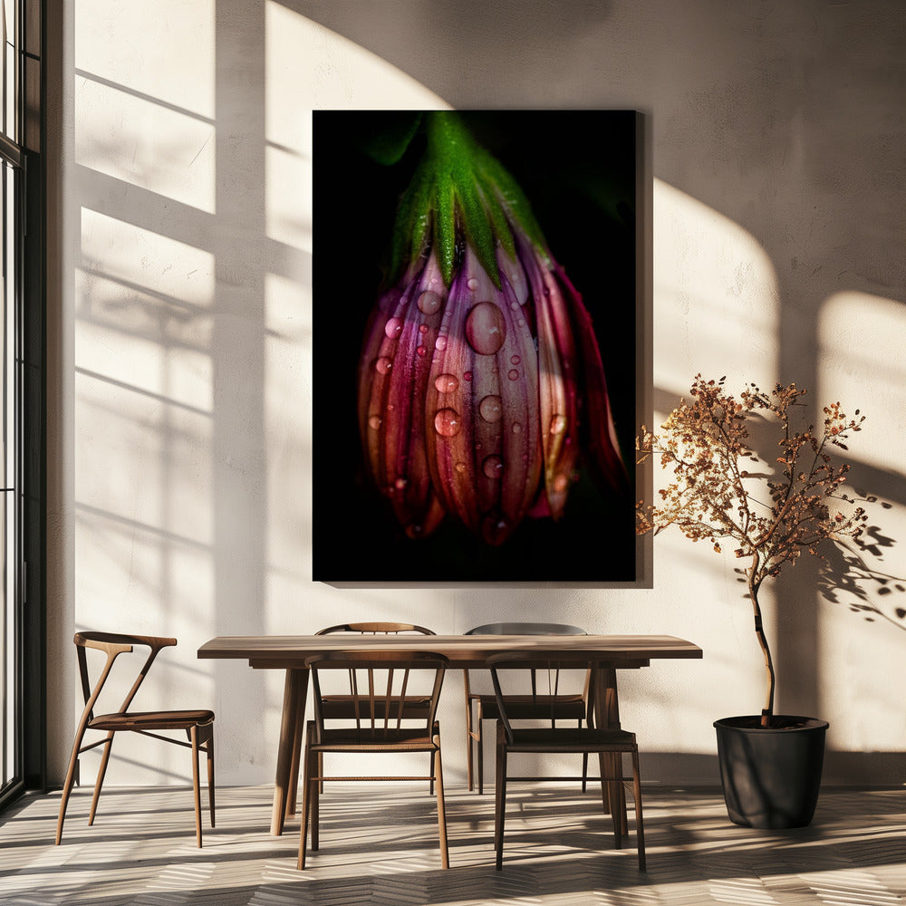 After the rain | Canvas