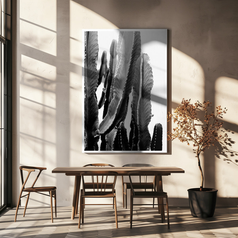 Kaktus Eleganz | Leinwand