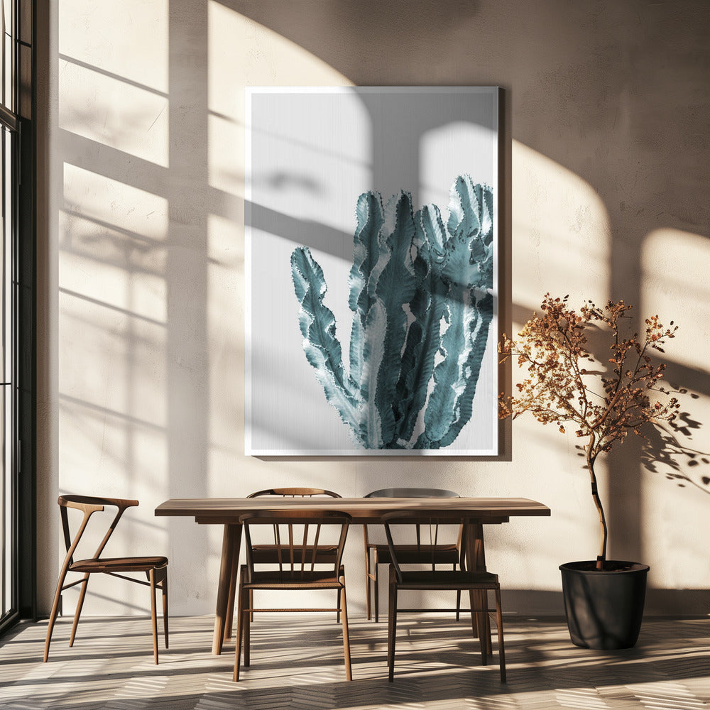 Kaktus Eleganz | Leinwand