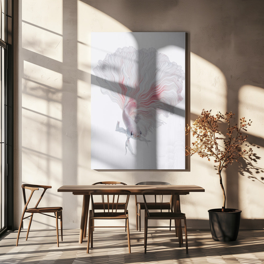 ROOT BETTA | Canvas