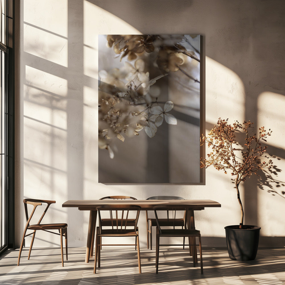 Hortensie 1 | Leinwand