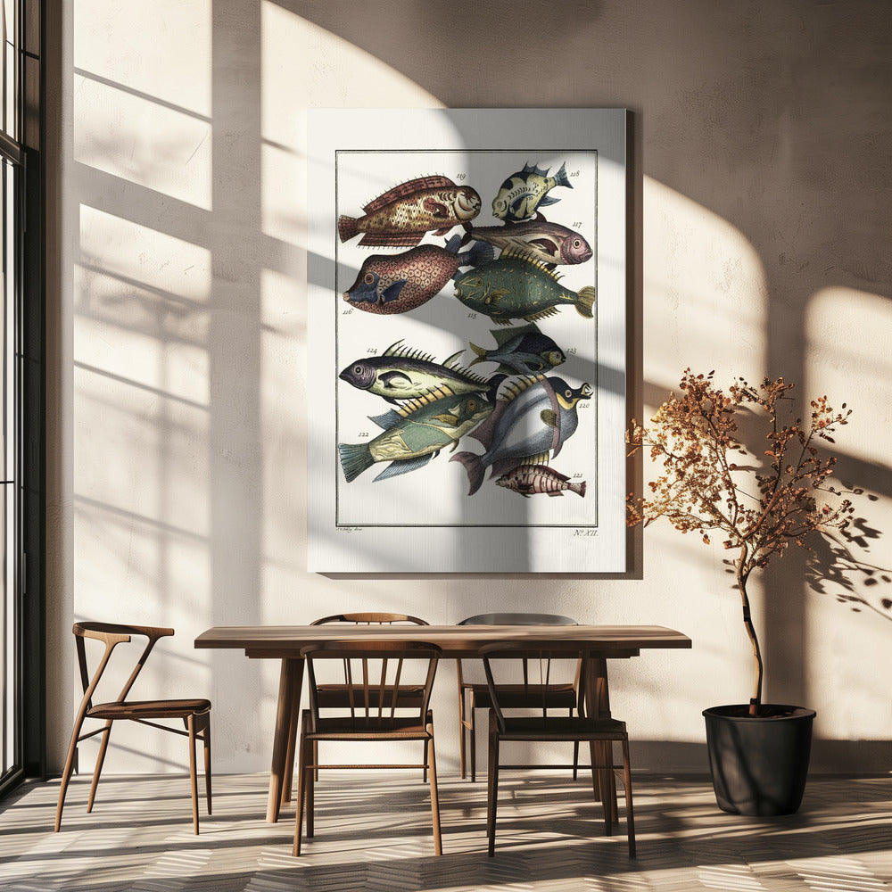 Exotischer Fisch (1767) von JV Schley | Leinwand