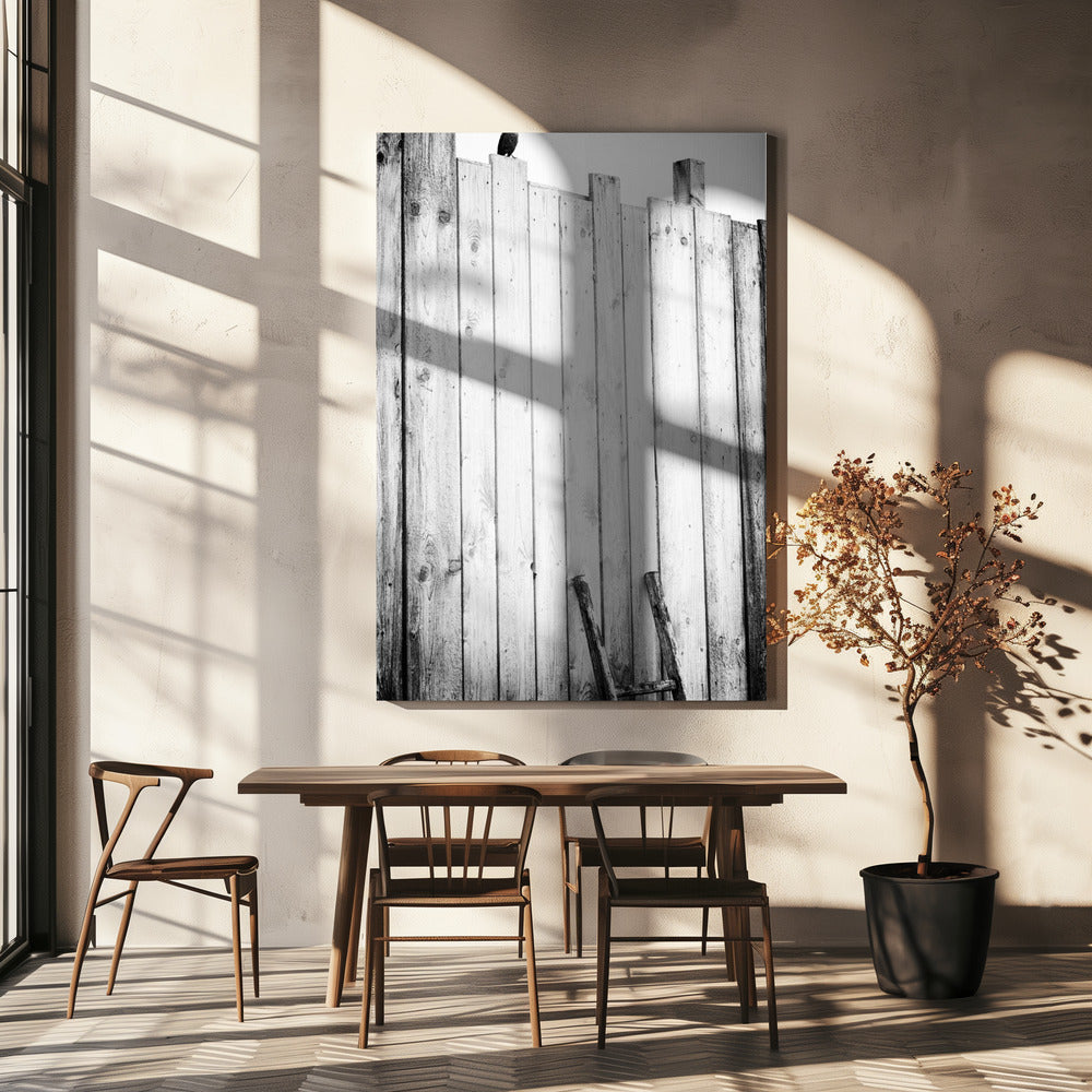freed | Canvas