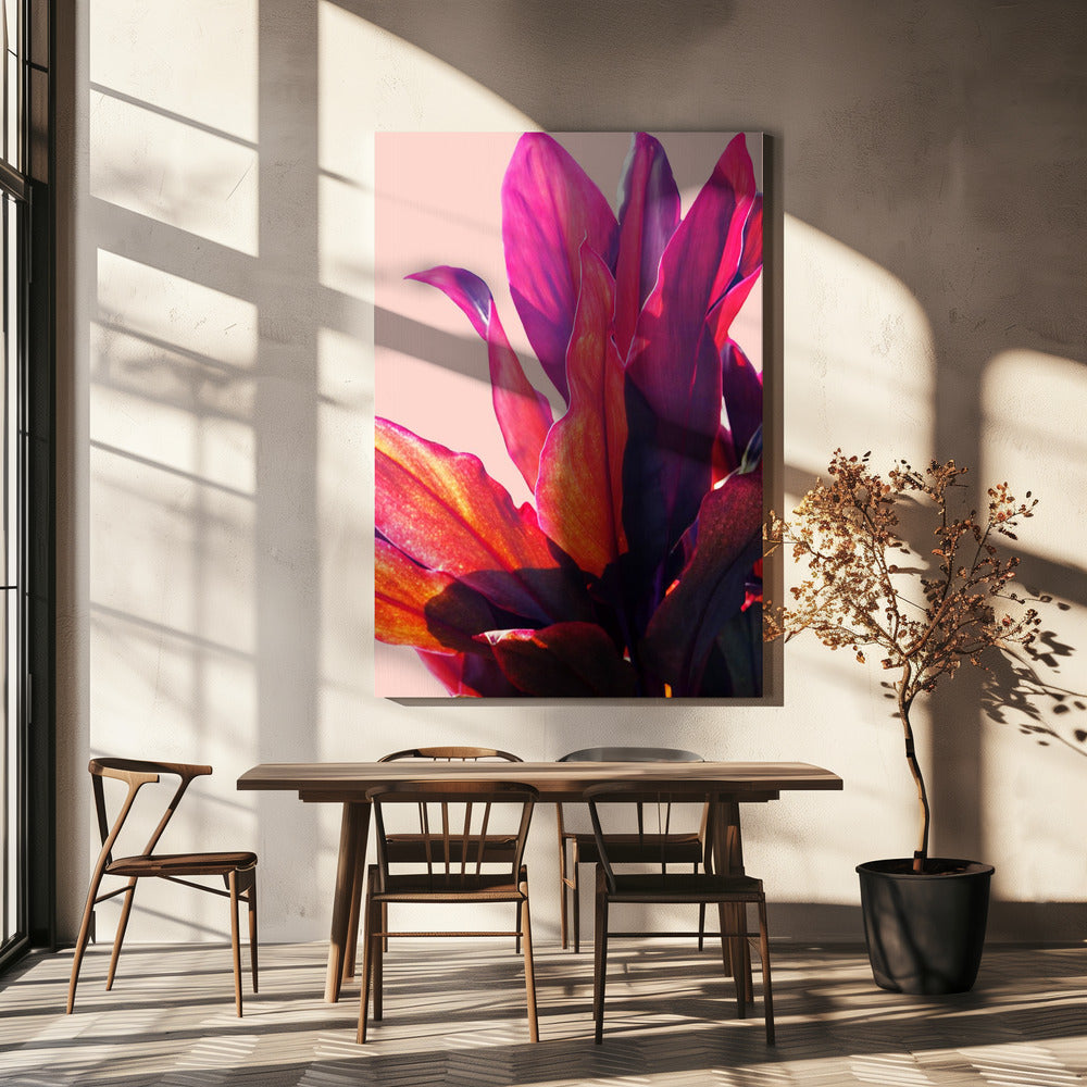 Fuchsia Blätter II | Leinwand