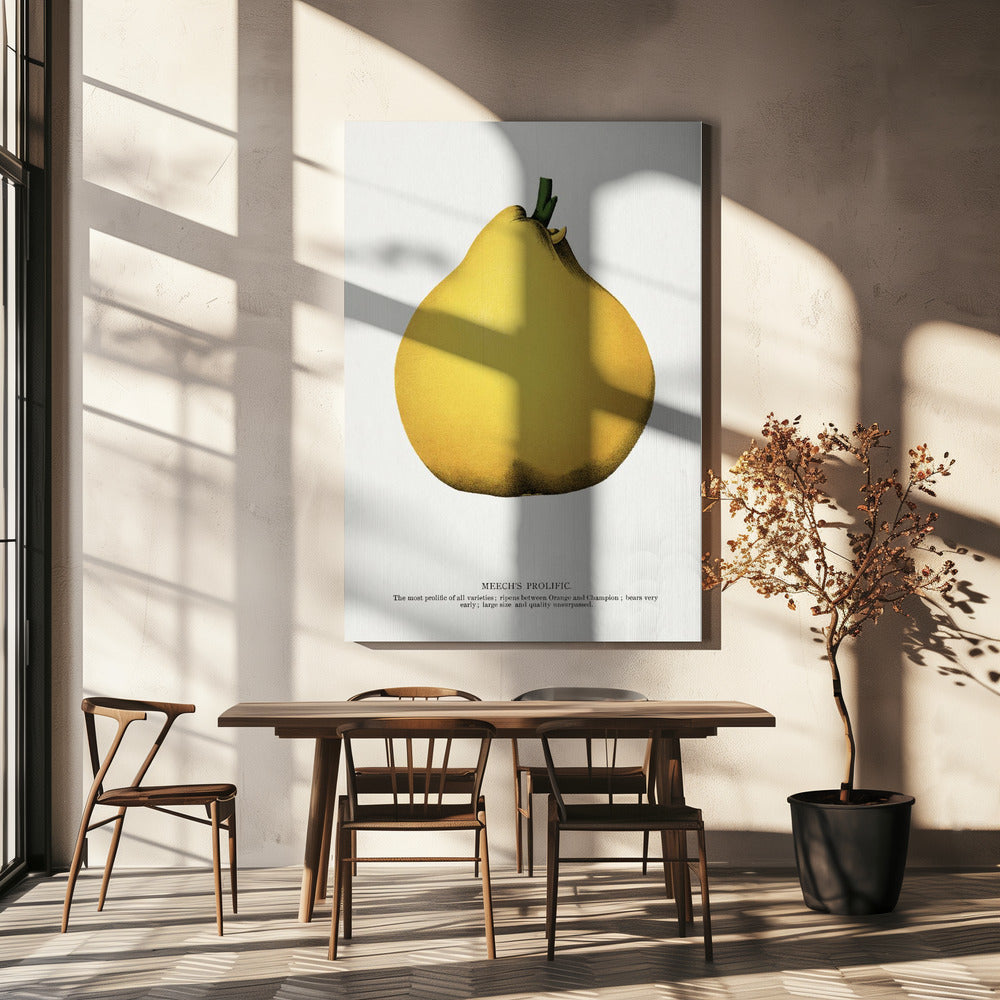 Meechs produktive Birnenlithografie | Leinwand