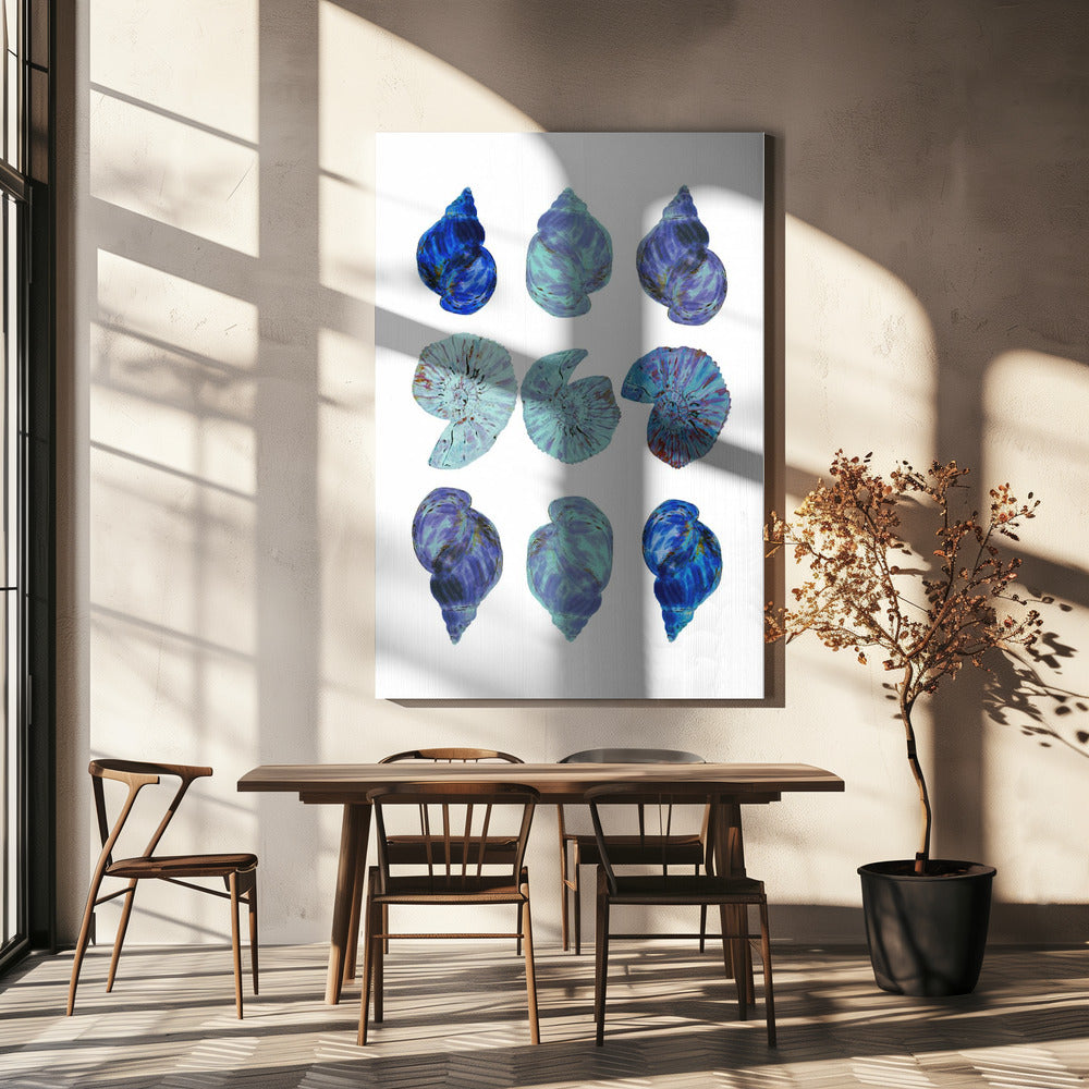 Blaue Muscheln Poster | Leinwand