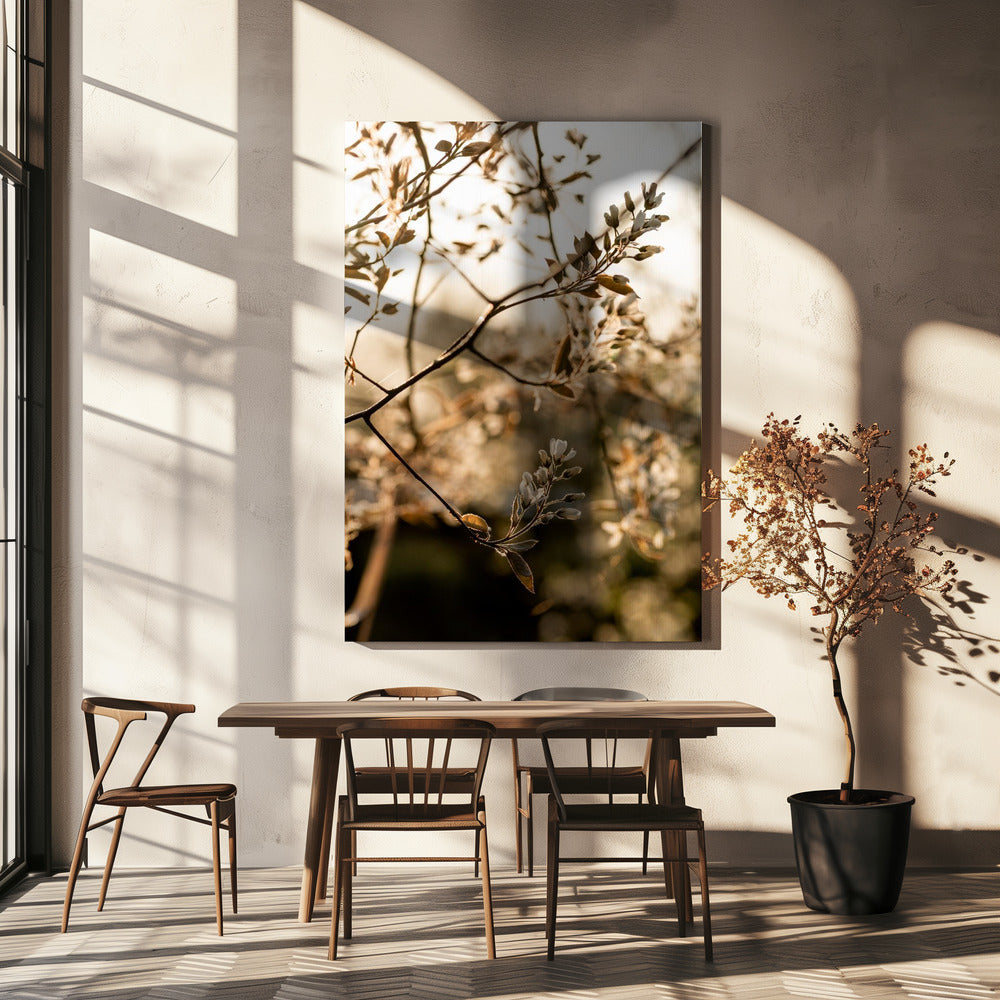 Last Spring 4 | Canvas
