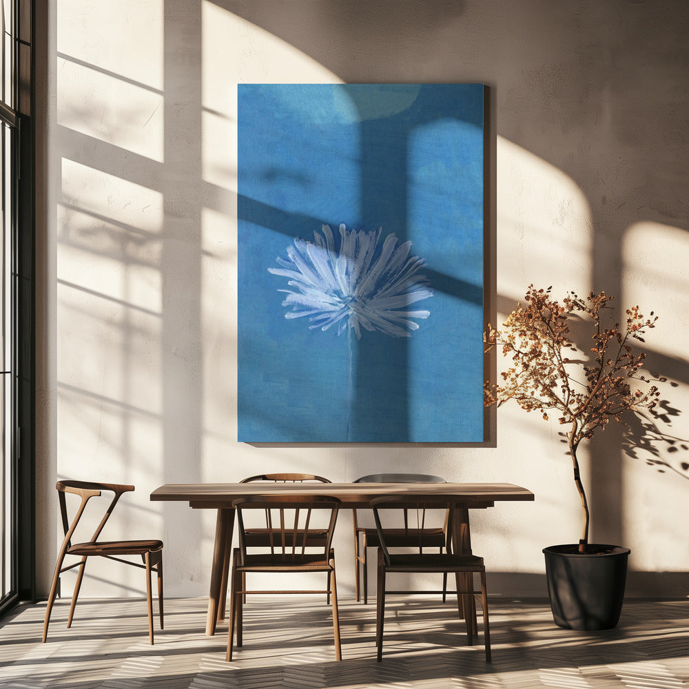 Weiße Blume auf blauem Hintergrund | Leinwand