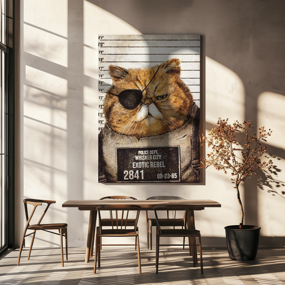 Funny Cat | Canvas