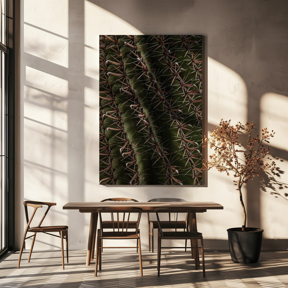 Cactus Showcases | Canvas