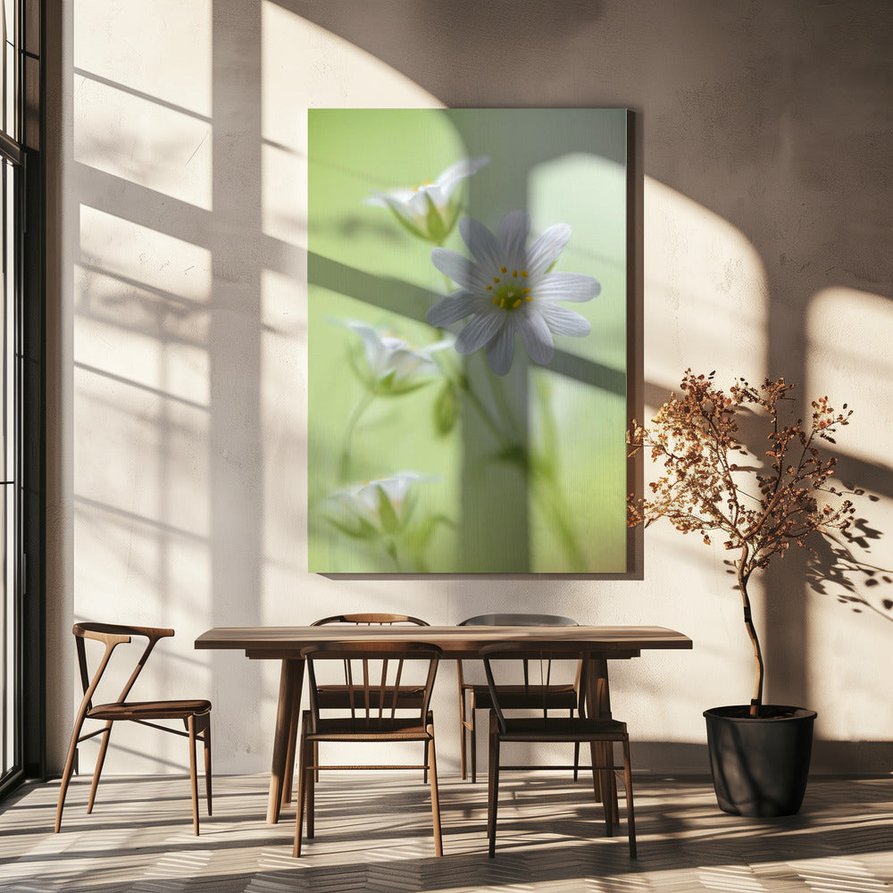 Frühlingsglanz | Leinwand