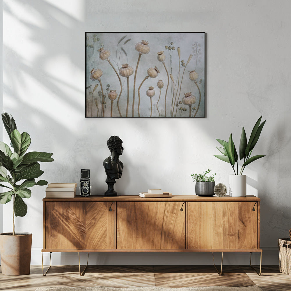 Papaver | Poster