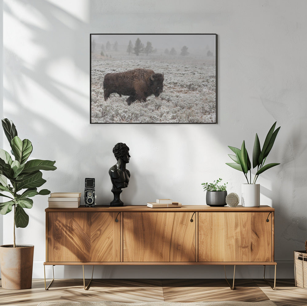 Yellowstone im Spätherbst | Poster