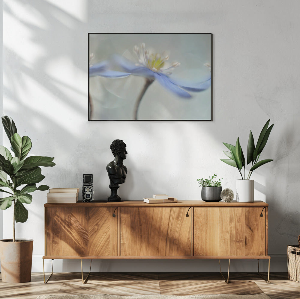 Tanzende Anemonen | Poster