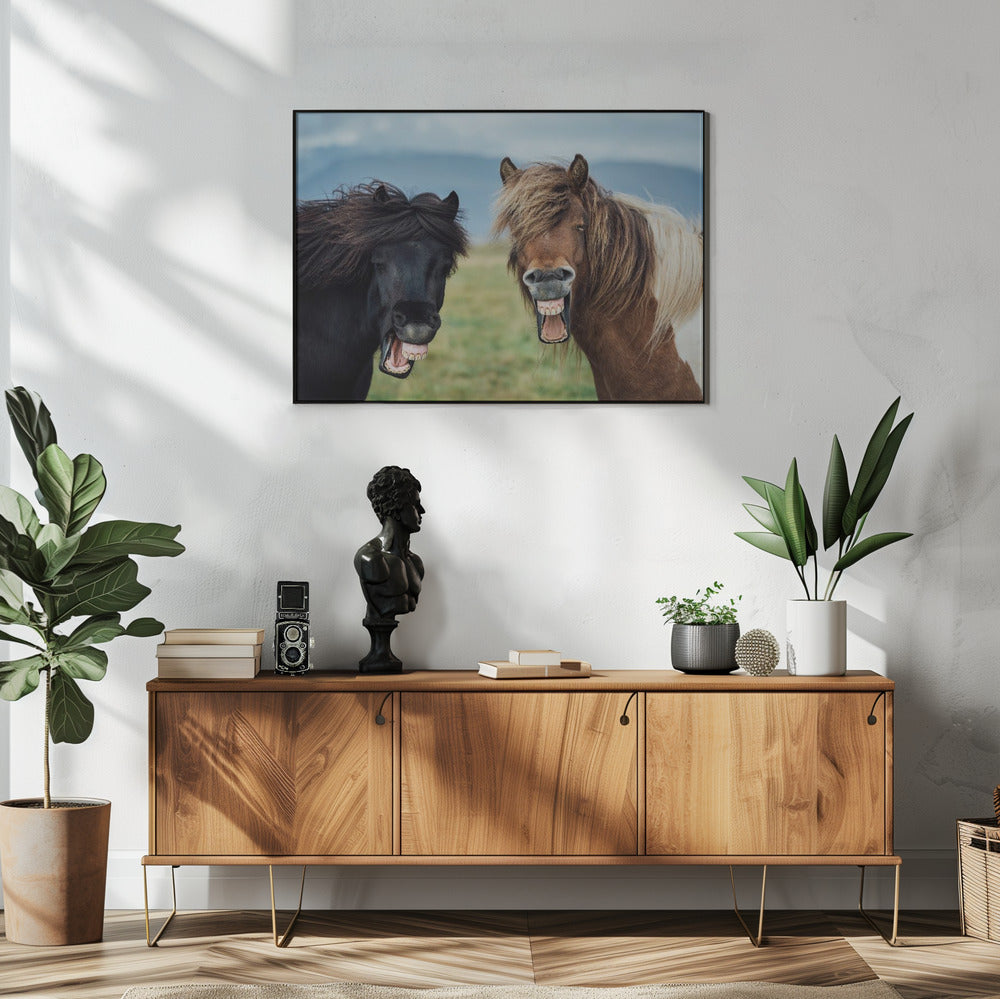 WILDES LÄCHELN | Poster