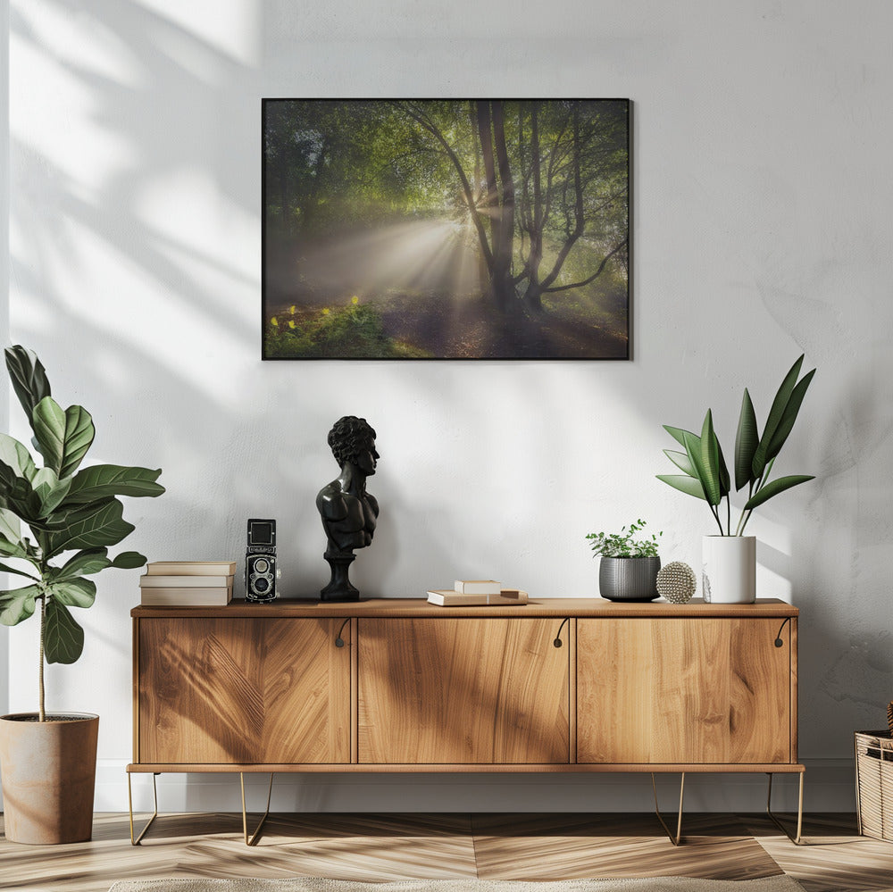 Das Morgenlicht | Poster