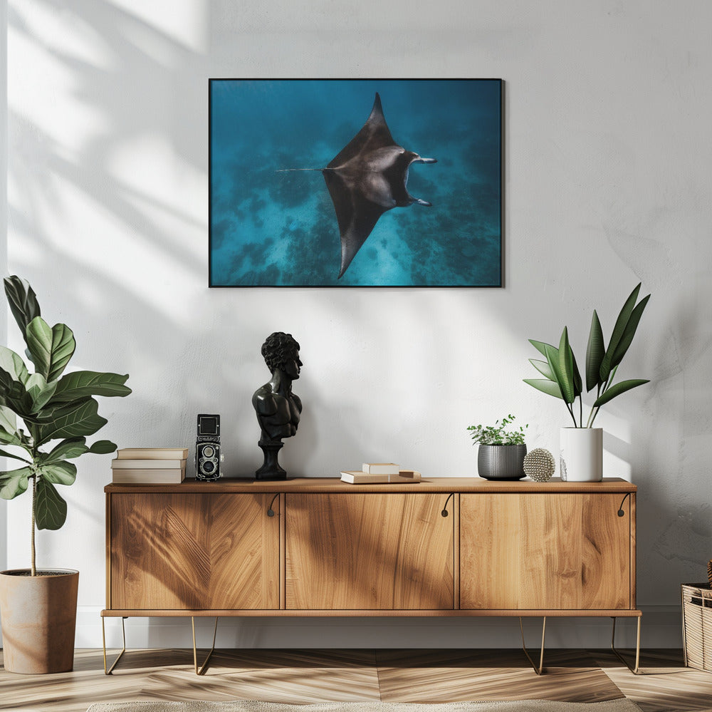 Manta flieg!!! | Poster