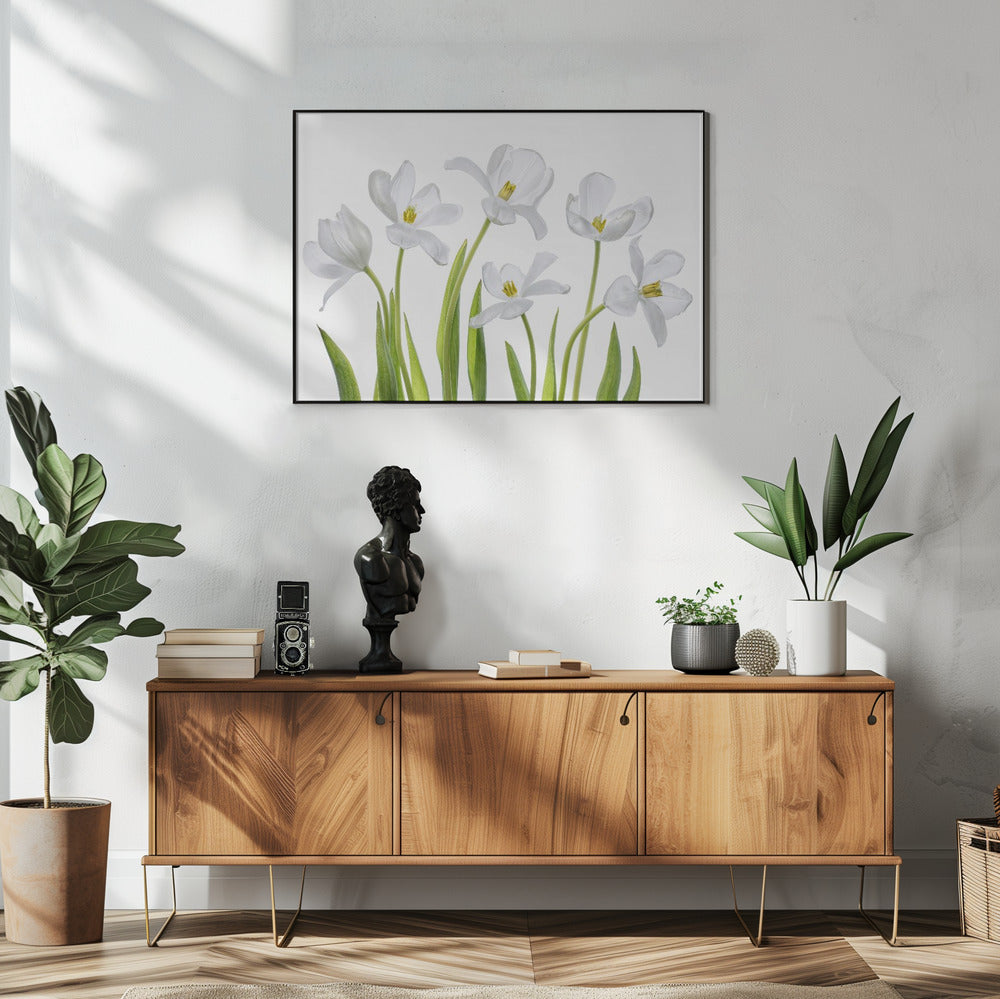 Weiße Tulpen | Poster