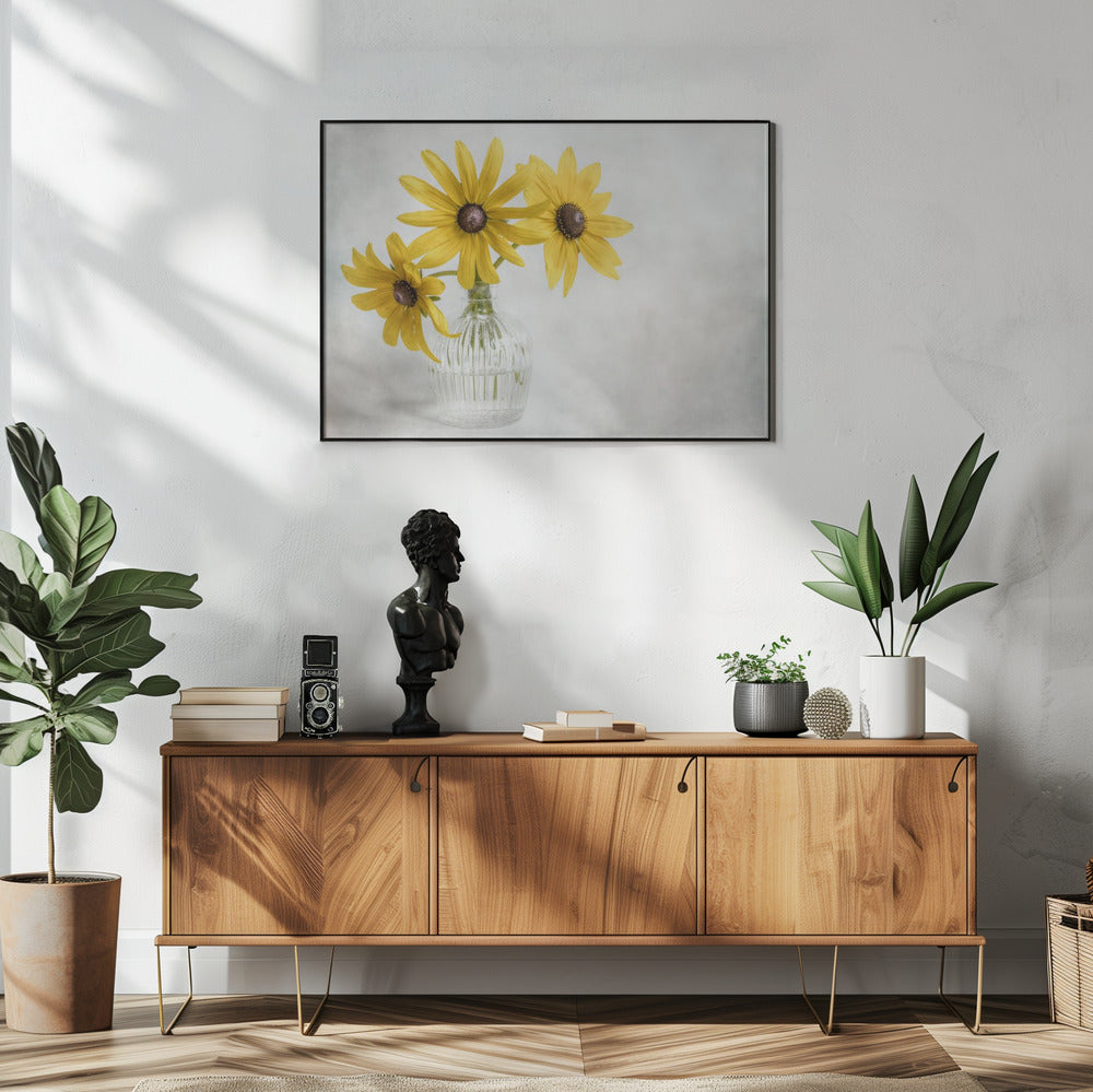 Rudbeckia | Poster