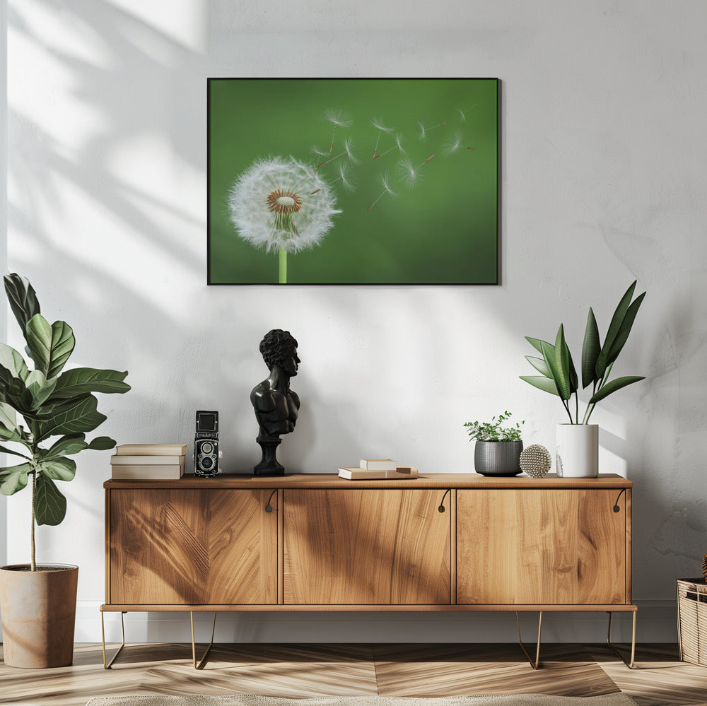 Pusteblume | Poster