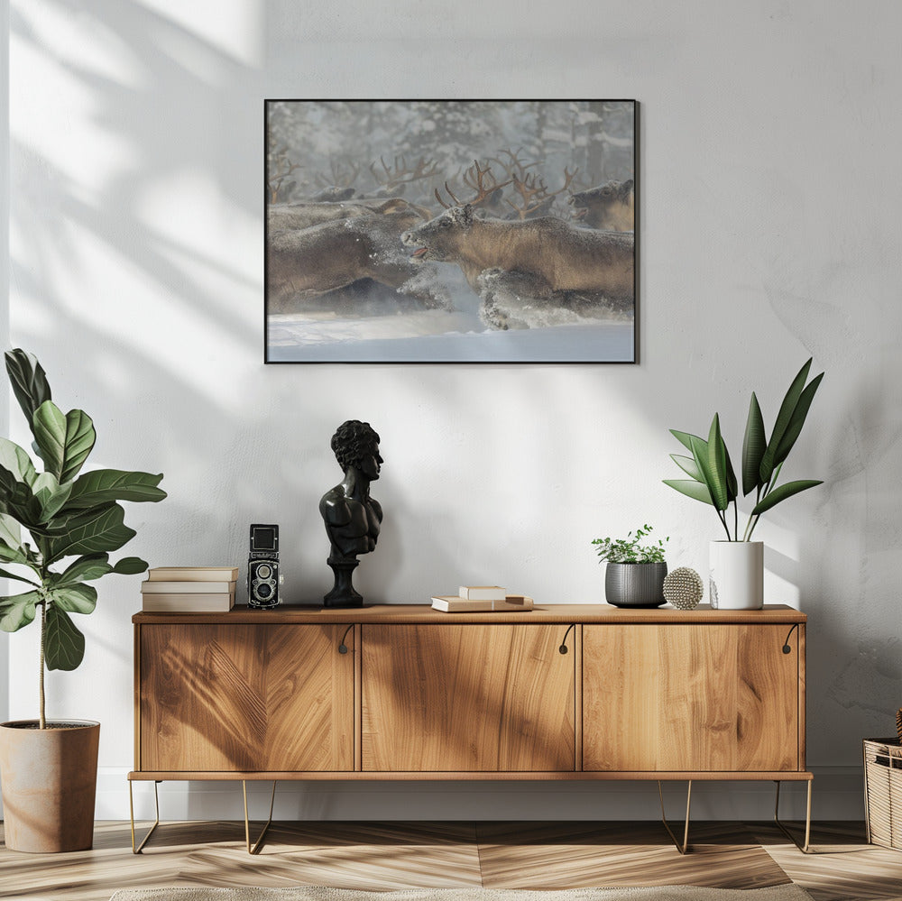 Rentiere III | Poster