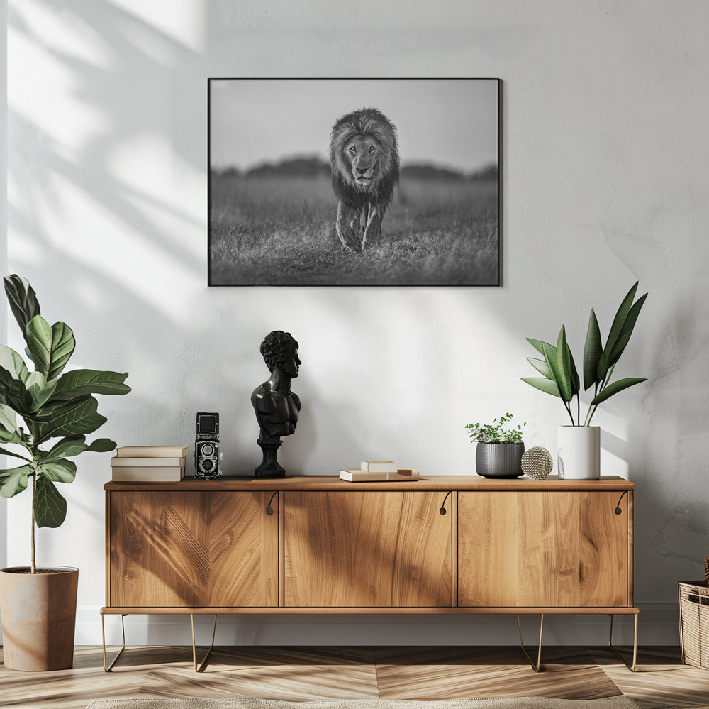 Alter Junge | Poster