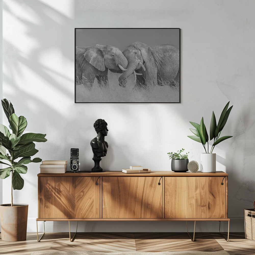 Elefantenflug | Poster