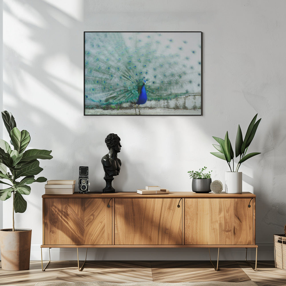 Pfau | Poster